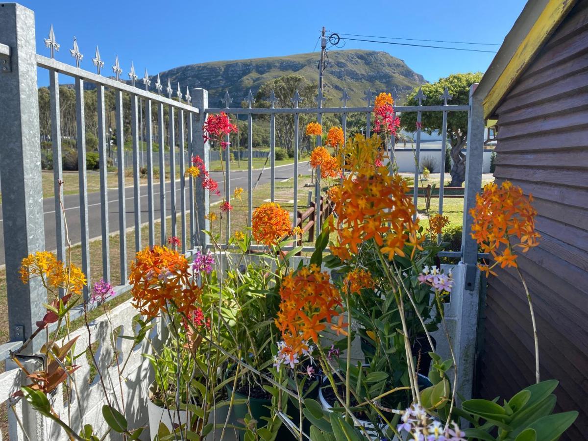 Hermanus 60 On Flat Exterior photo